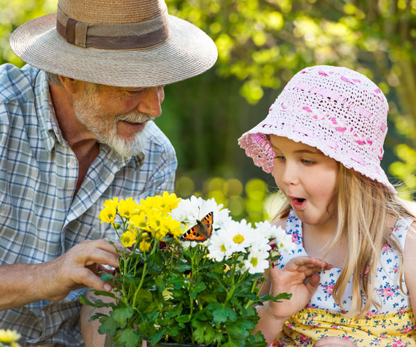 Butterfly Garden Grandfather And Granddaughter Looking At A Butterfly | Heritage Waterside Grandpa And Grand Daughter At The Butterfly Garden | Bahama Bay